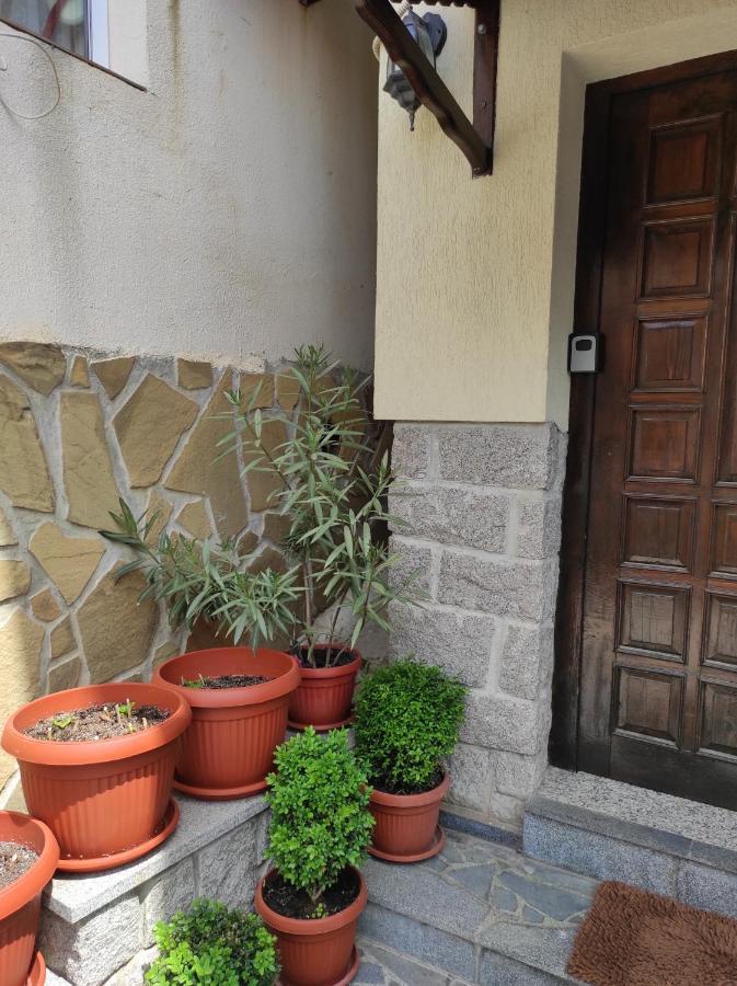 Рибарска 8 Apartment Sozopol Bagian luar foto